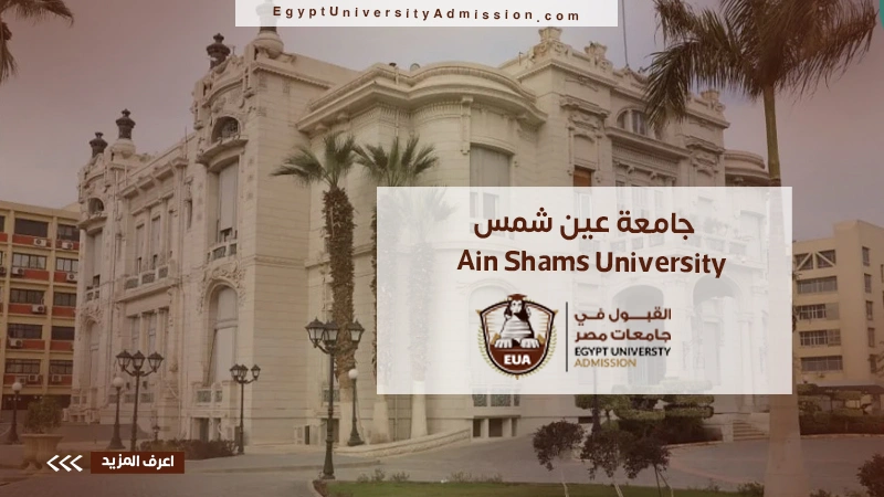 Ain Shams University