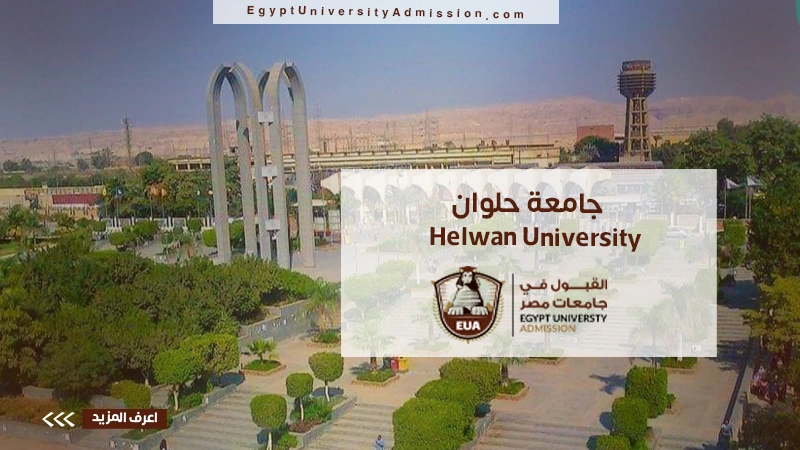 Helwan University