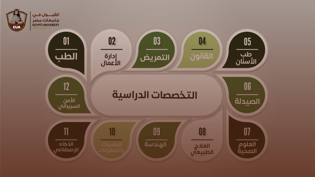 التخصصات الدراسية