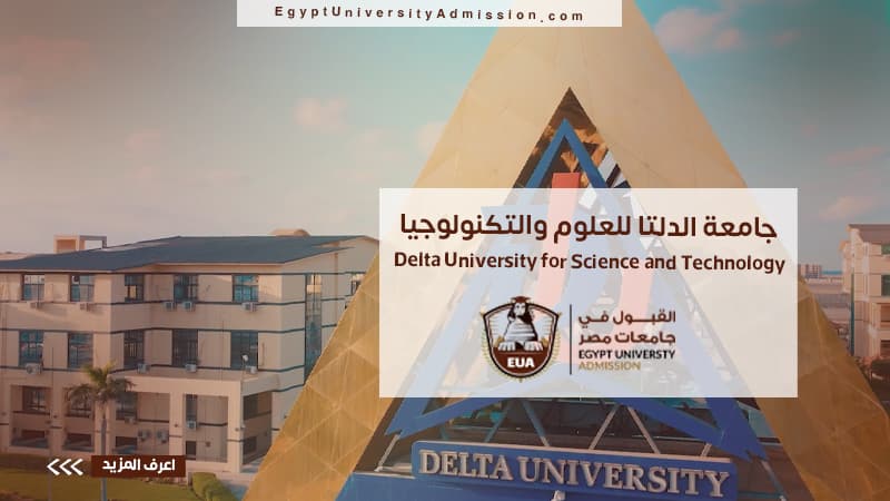 جامعة الدلتا للعلوم والتكنولوجيا