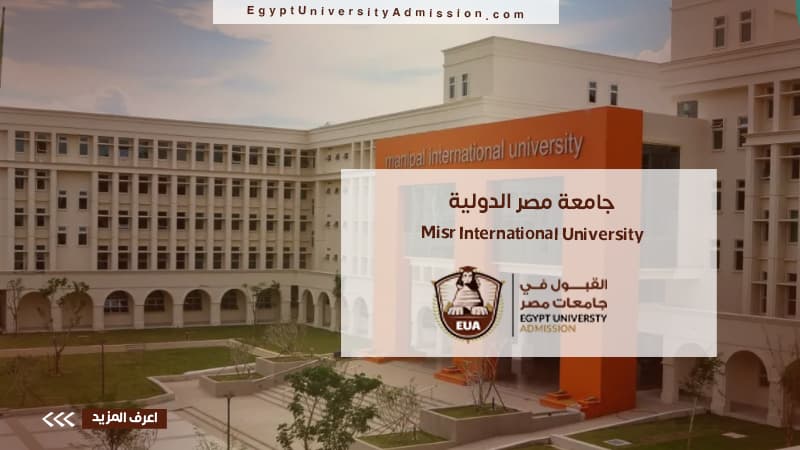 جامعة مصر الدولية