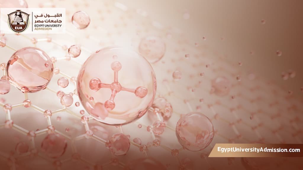 البورد العربي في الجلدية
