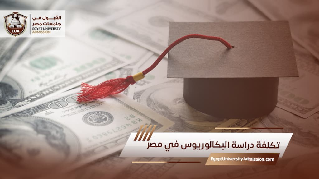 تكلفة دراسة البكالوريوس في مصر
