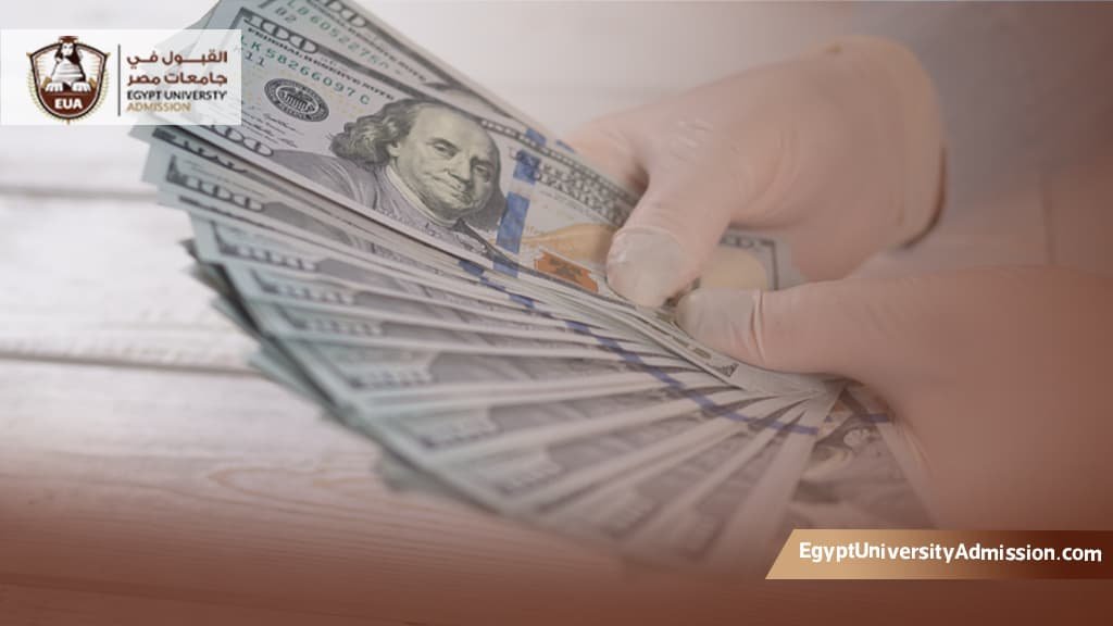 تكلفة دراسة الصيدلة في مصر
