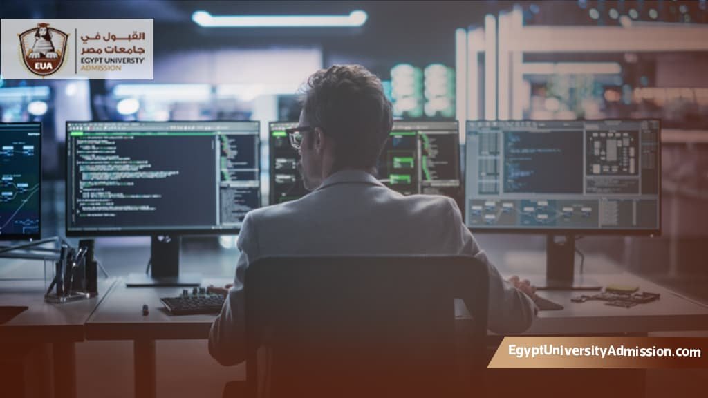 جامعات حاسبات ومعلومات في مصر