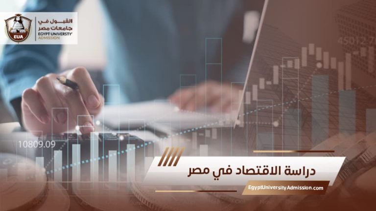 دراسة الاقتصاد في مصر