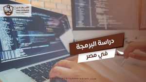 دراسة البرمجة في مصر