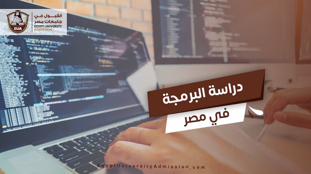 دراسة البرمجة في مصر