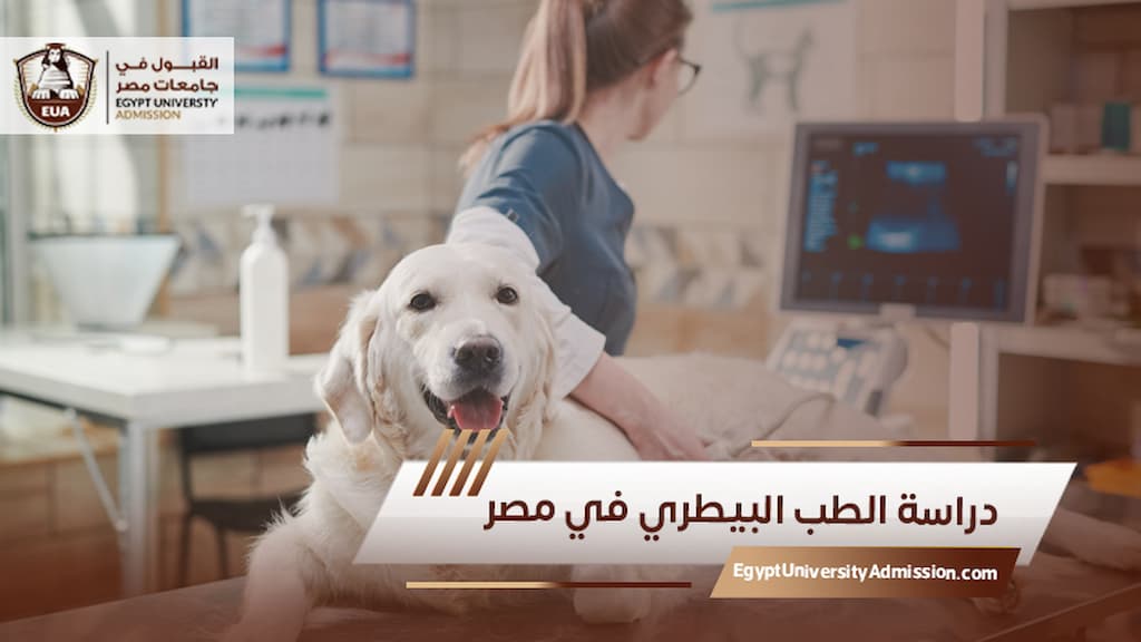 دراسة الطب البيطري في مصر