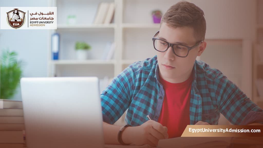 دراسة الدكتوراه في مصر عن بعد