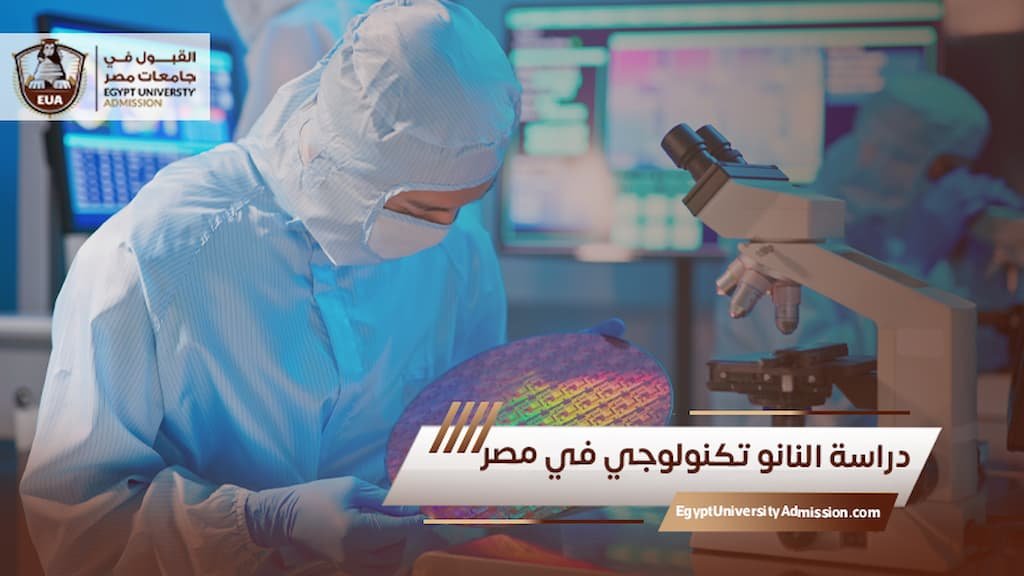 دراسة النانو تكنولوجي في مصر