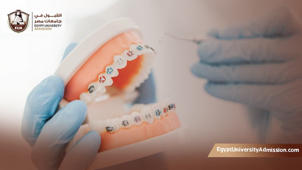 دراسة تقويم الاسنان في مصر