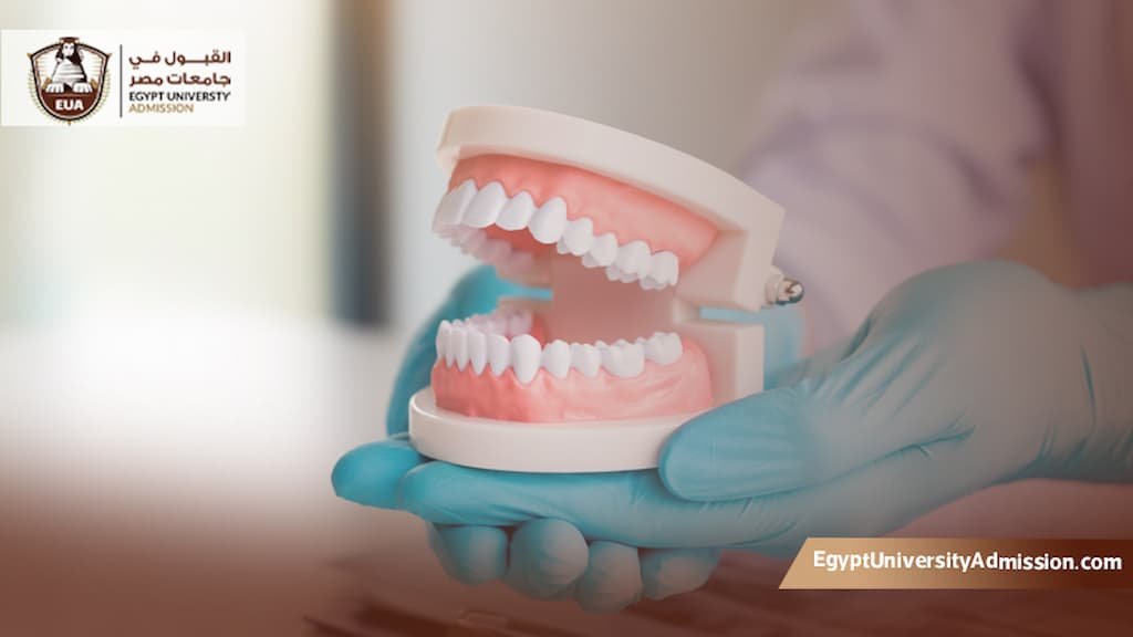 دراسة طب الأسنان في مصر للأجانب