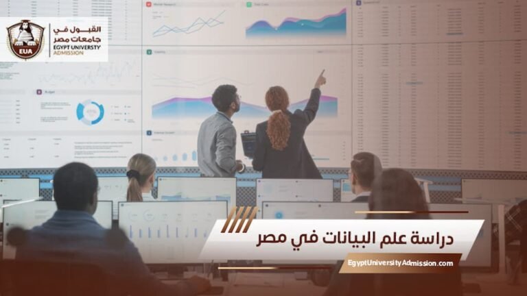 دراسة علم البيانات في مصر