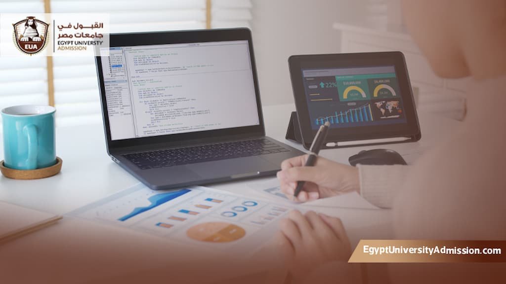 دراسة علم البيانات في مصر
