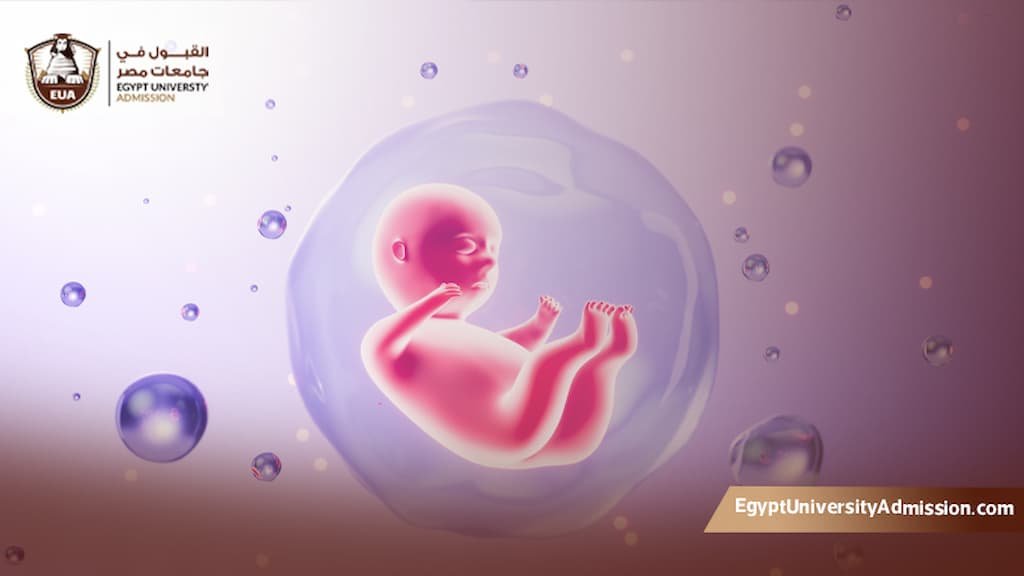 ماجستير علم الأجنة في مصر
