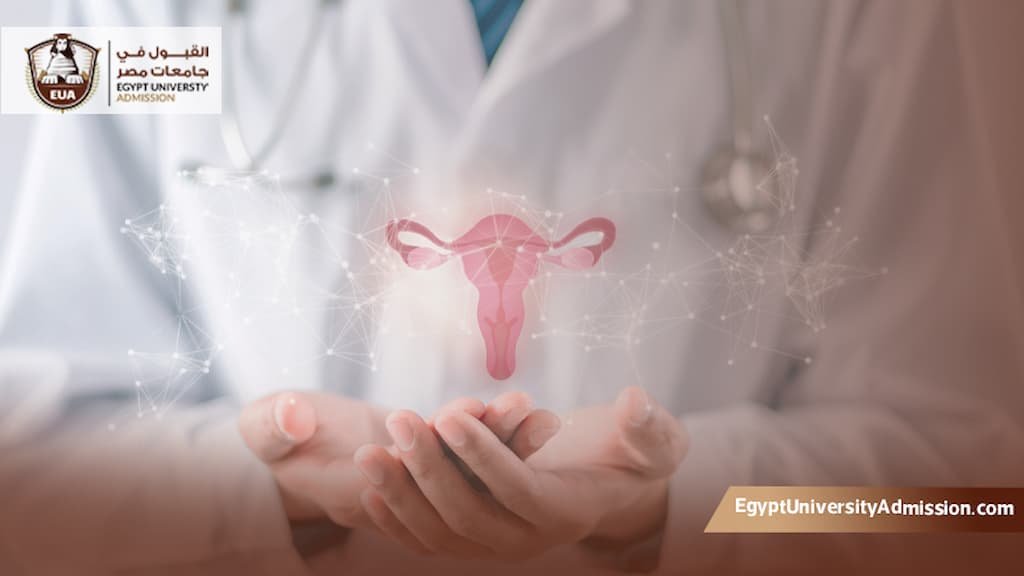الزمالة المصرية للنساء والتوليد