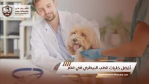 أفضل كليات الطب البيطري في مصر