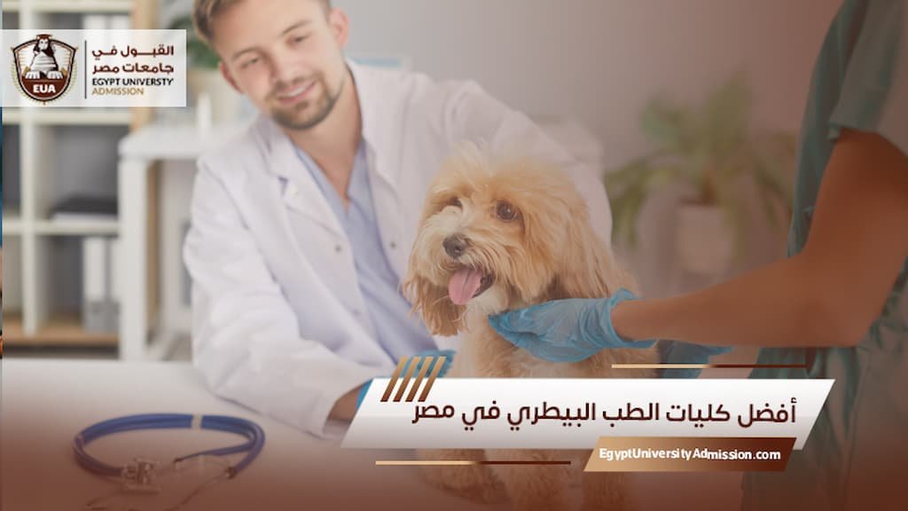 أفضل كليات الطب البيطري في مصر