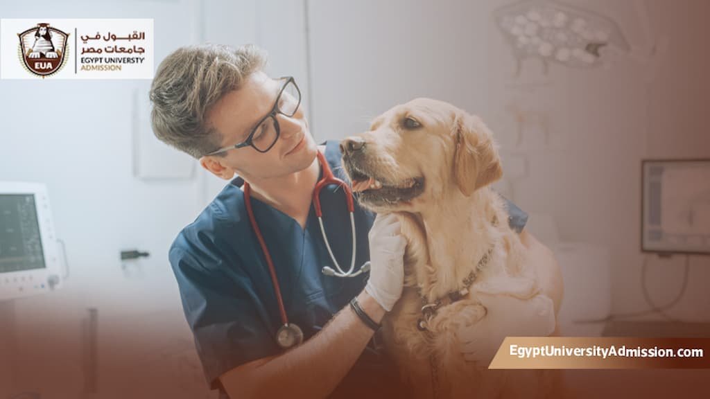 أفضل كليات الطب البيطري في مصر
