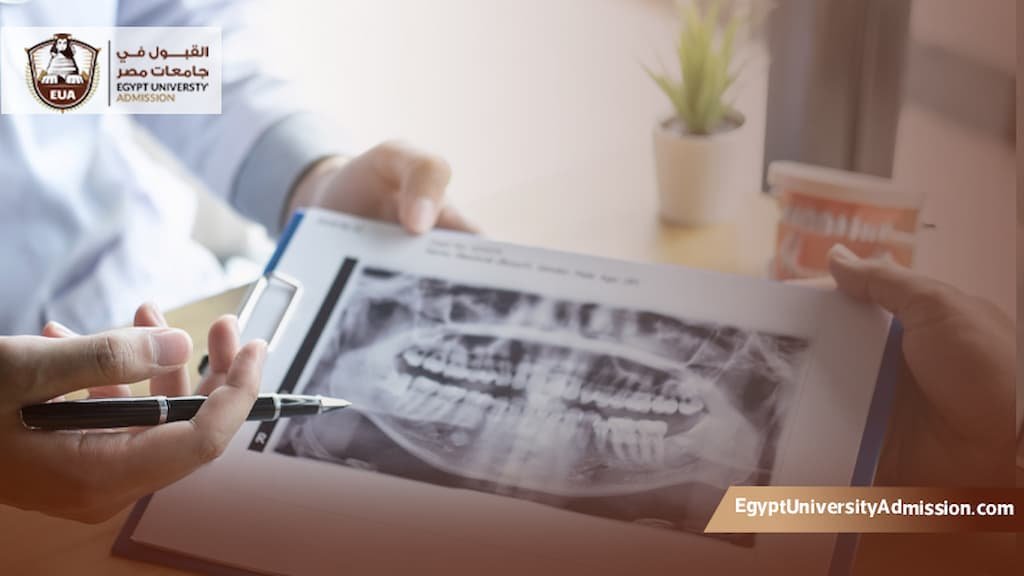 افضل جامعات طب الاسنان في مصر