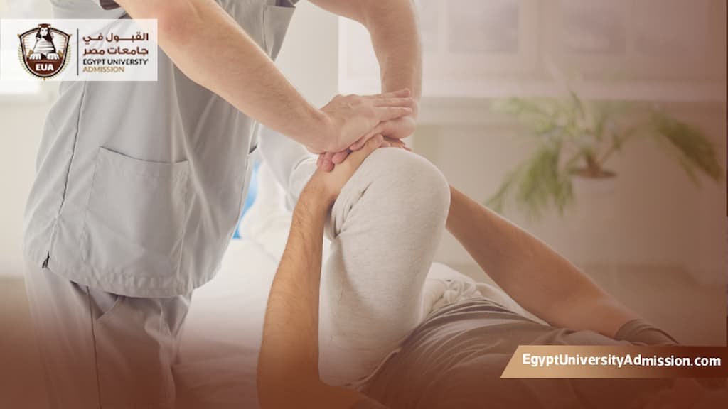 الدكتوراة المهنية في العلاج الطبيعي