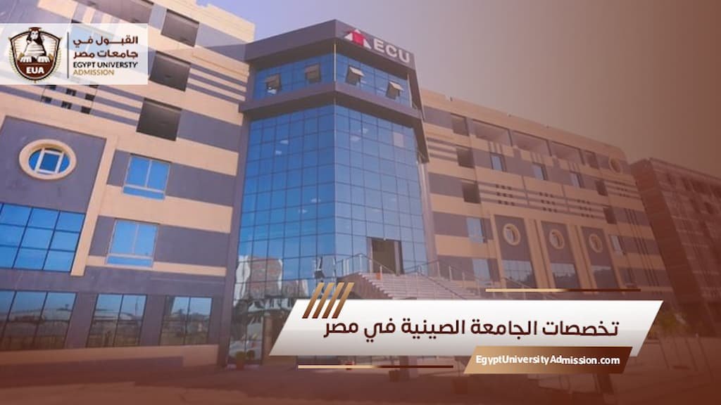 تخصصات الجامعة الصينية في مصر