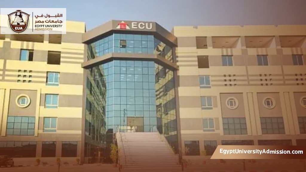 تخصصات الجامعة الصينية في مصر