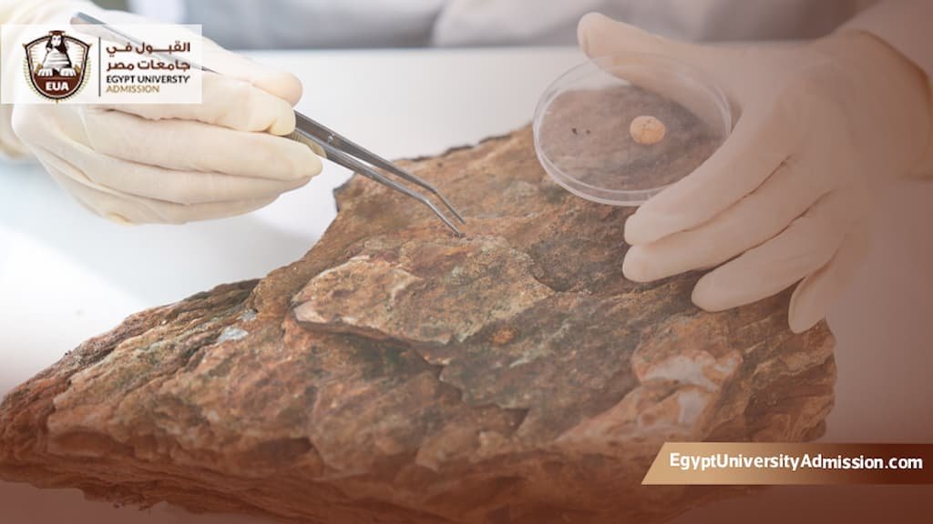 دراسة الجيولوجيا في مصر للوافدين