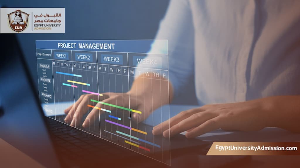 دكتوراه إدارة أعمال عن بعد