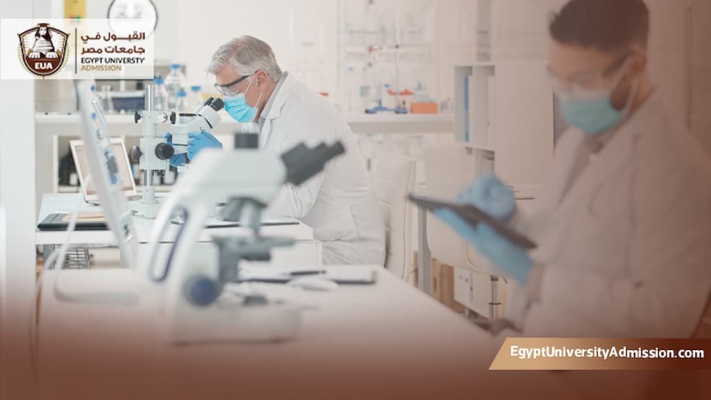 كليات العلوم الصحية في مصر