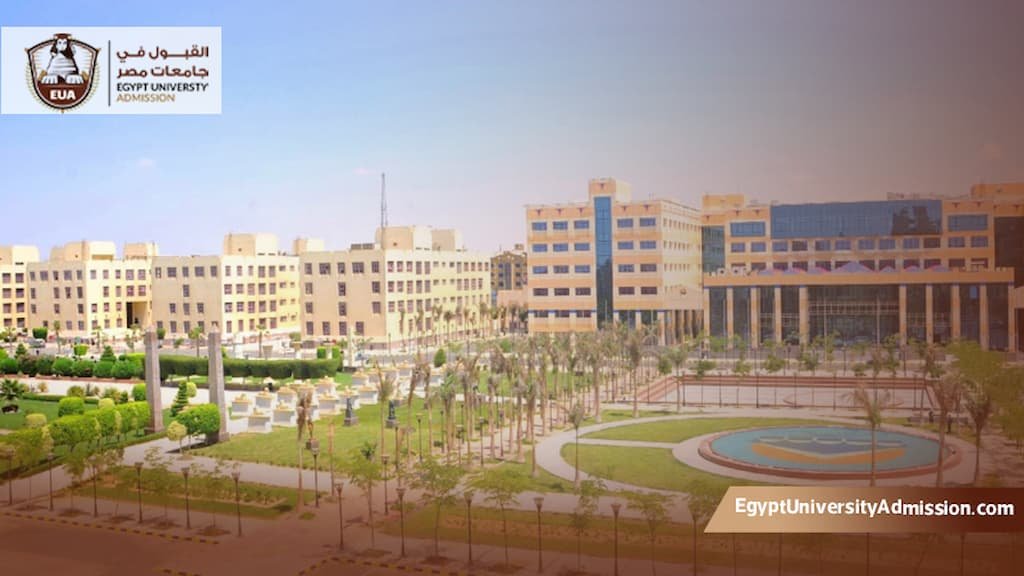 كلية تكنولوجيا العلوم الصحية 6 أكتوبر التكنولوجية