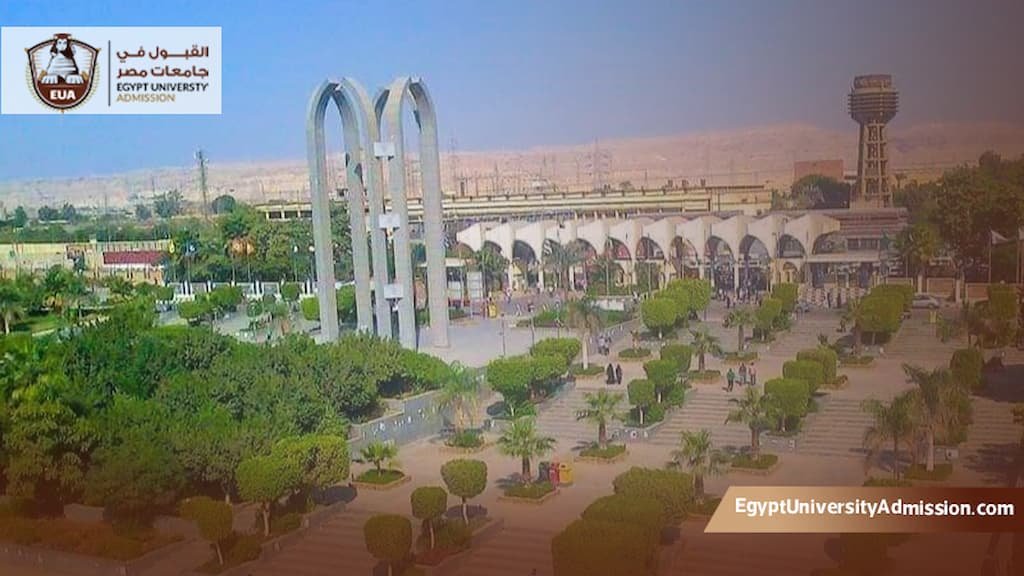 ماجستير إدارة مستشفيات جامعة حلوان