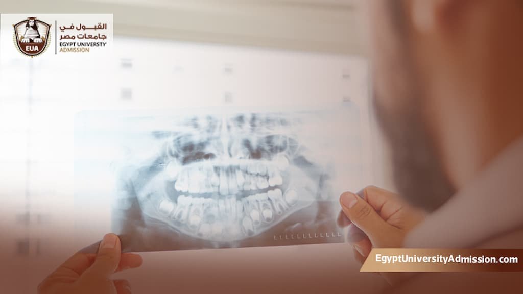 ماجستير جراحة الوجه والفكين في مصر