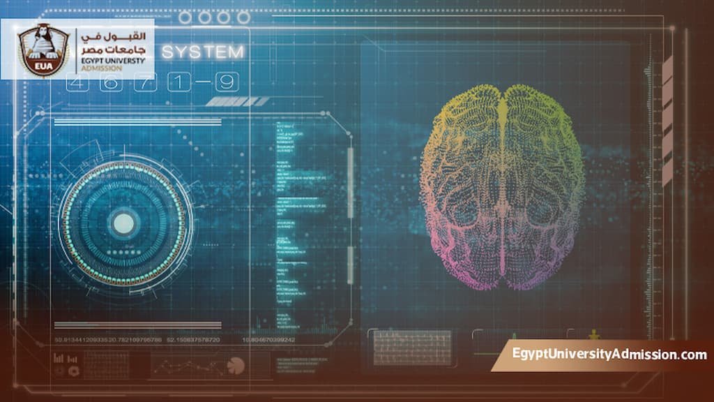 ماجستير معلوماتية صحية مصر