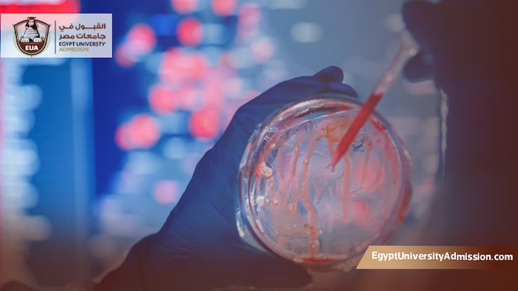 ماجستير ميكروبيولوجي في مصر