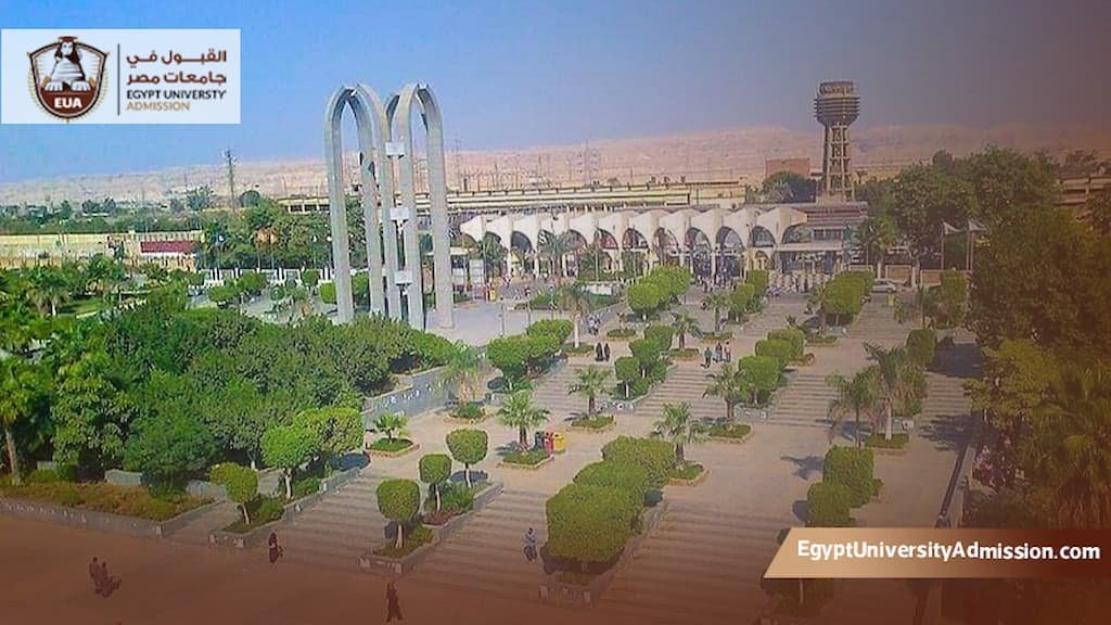 الدراسات العليا جامعة حلوان كلية التجارة