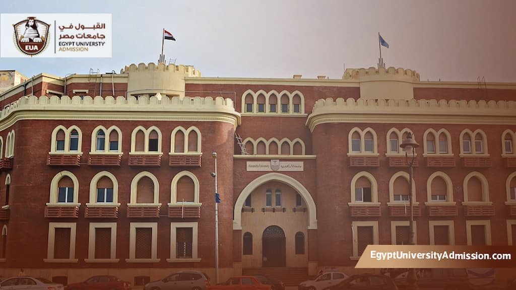 تكلفة ماجستير إدارة الأعمال جامعة الإسكندرية