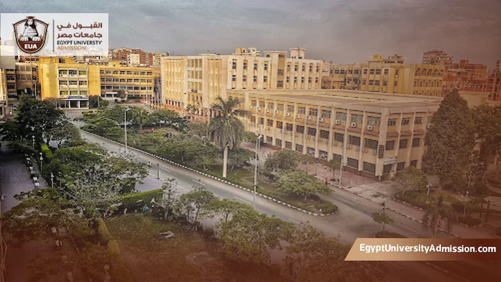 جامعة الزقازيق ماجستير عن بعد