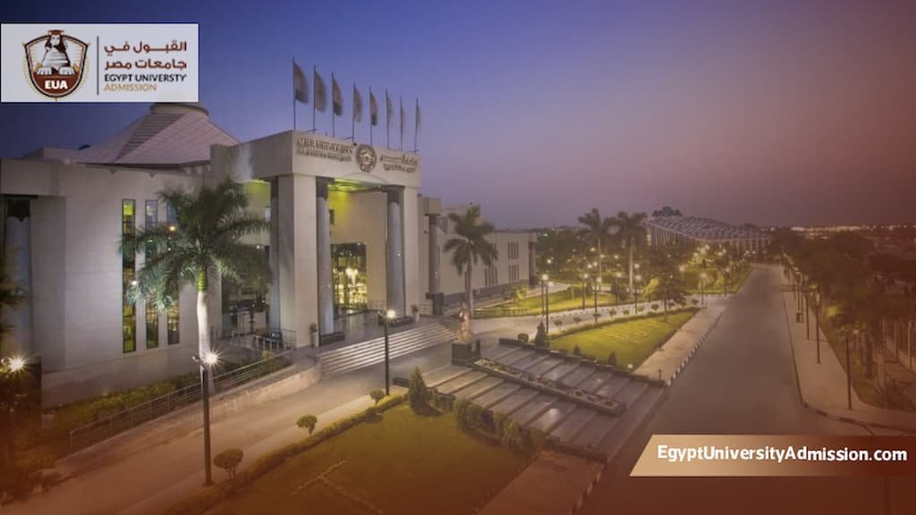 دراسات عليا جامعة مصر للعلوم والتكنولوجيا