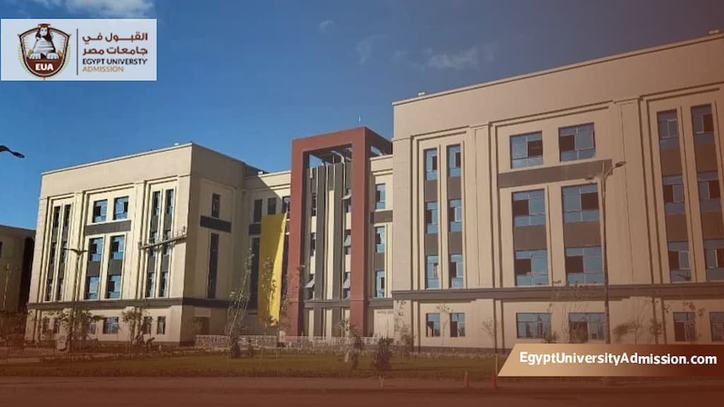 رسوم الماجستير في جامعة المنصورة للوافدين
