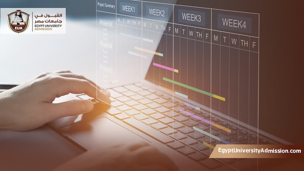 ماجستير إدارة مشاريع عن بعد