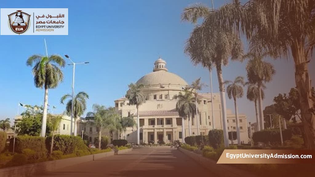 ماجستير الإدارة العامة جامعة القاهرة