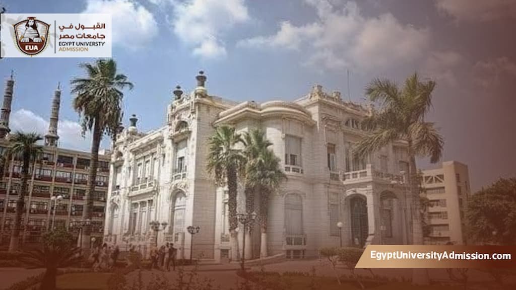 ماجستير إدارة مستشفيات جامعة عين شمس