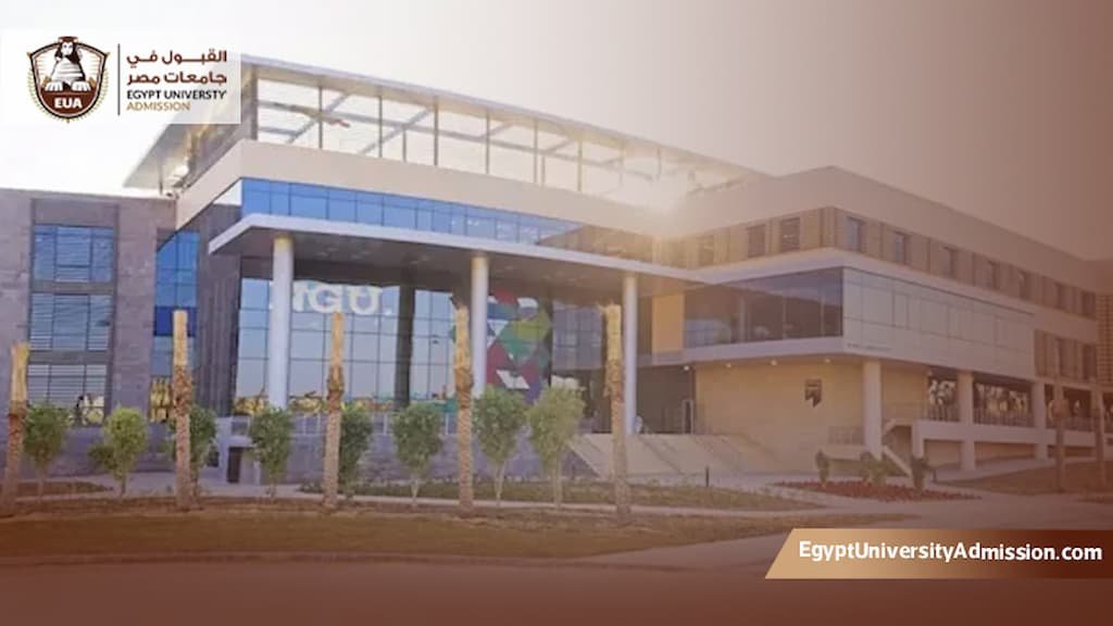 مميزات وعيوب جامعة نيو جيزة