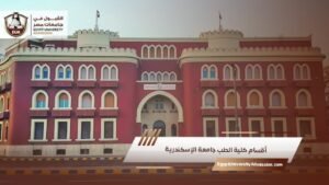 أقسام كلية الطب جامعة الإسكندرية