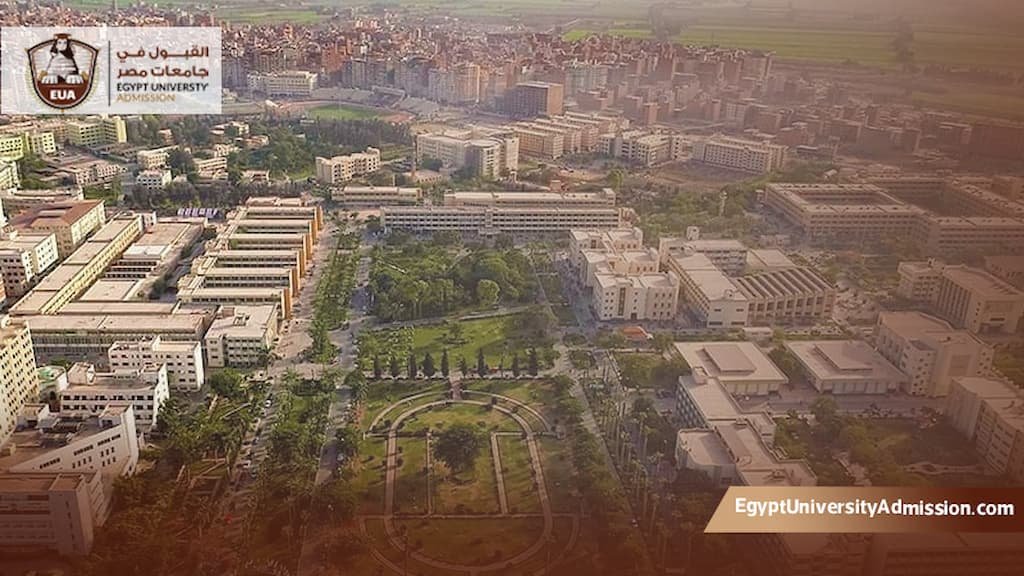 تخصصات الدكتوراه في جامعة المنصورة