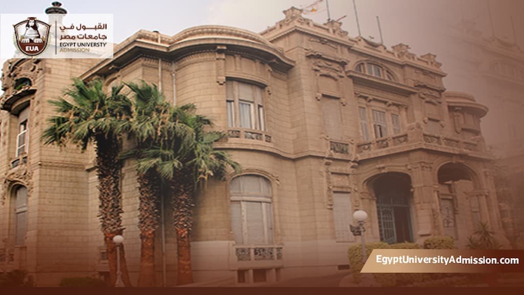 تخصصات الدكتوراه في جامعة عين شمس