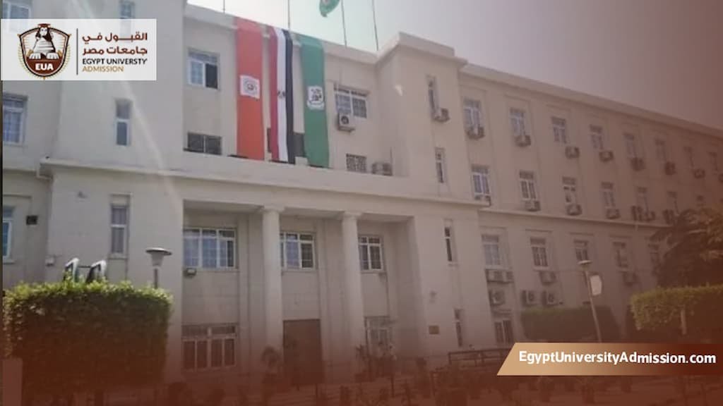 تخصصات كلية اقتصاد وعلوم سياسية