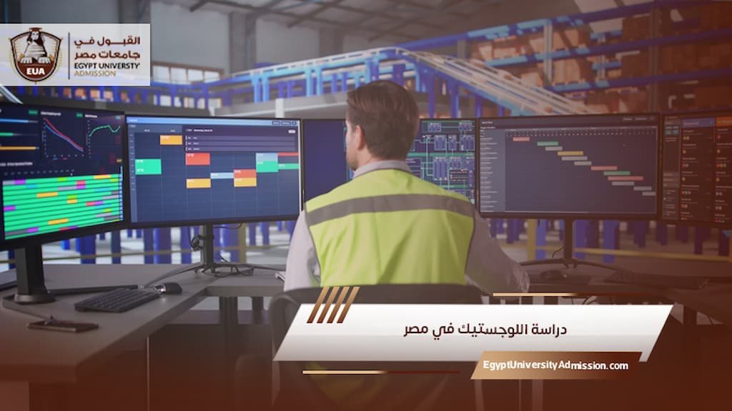 دراسة اللوجستيك في مصر